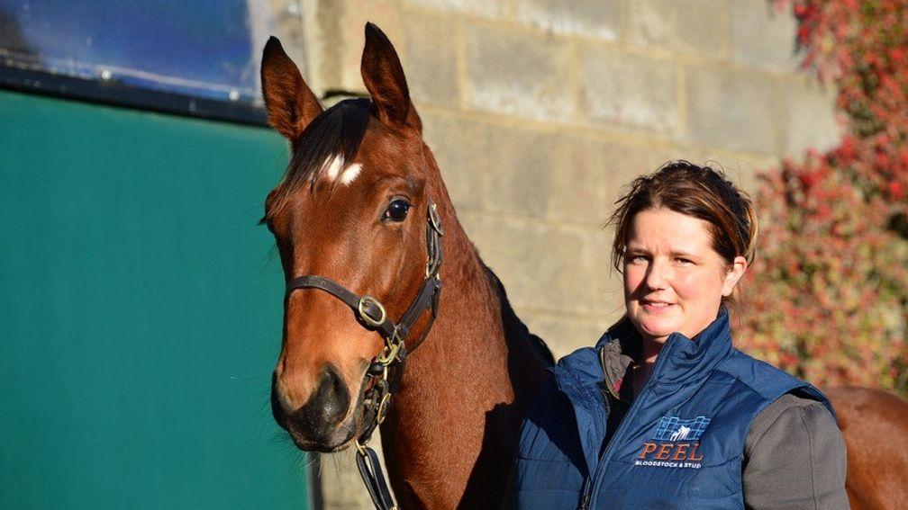 Peel Hall Bloodstock's Nathaniel colt who made €78,000 to Paul Cashman