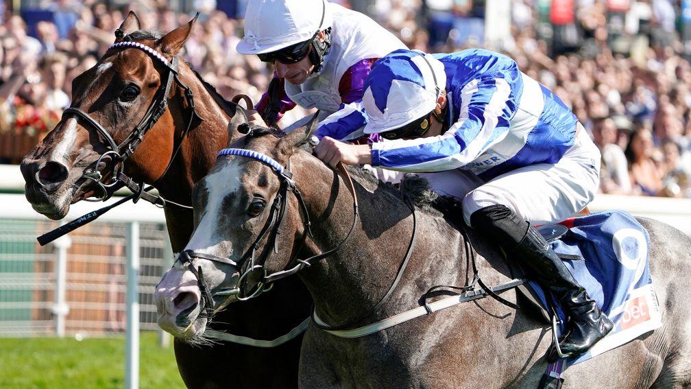 Shine So Bright: beating Laurens in the City of York Stakes at York in August