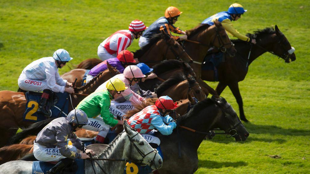 A set of genes linked to successful racehorses has been identified