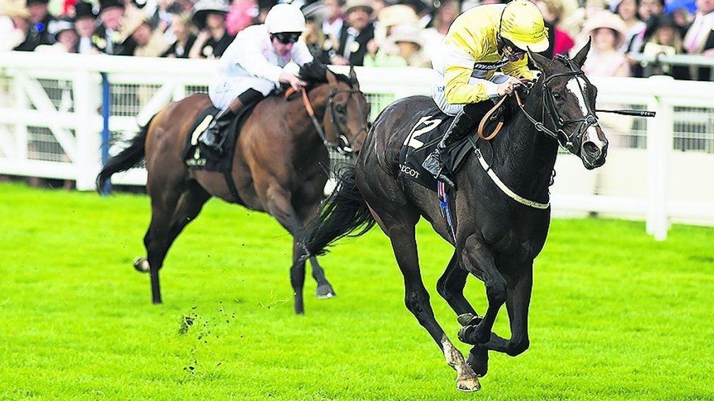 Quiet Reflection wins the Commonweath Cup at Royal Ascot