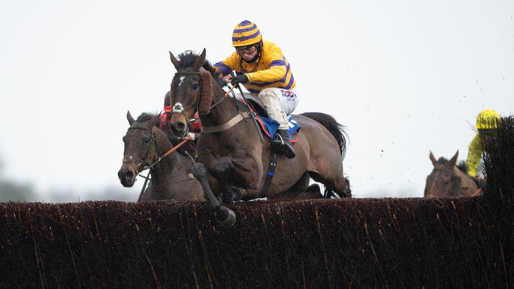 Sametegal lands the hunter chase at Wincanton, his first victory for almost five years