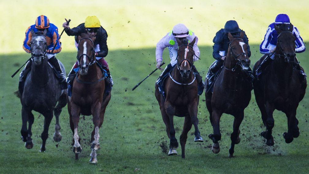 Stradivarius (yellow cap) wins last year's Long Distance Cup at Ascot