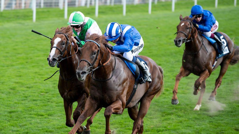 Dubai Mirage (royal blue) shaped well in third behind Molatham and Celtic Art
