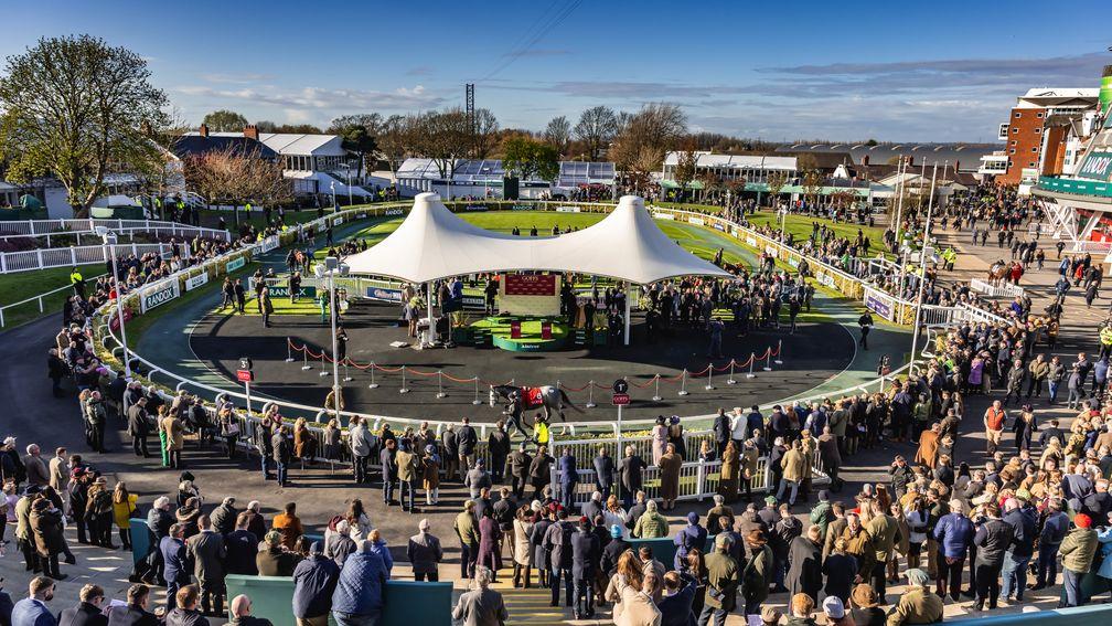 The stage is set for the Goffs UK Aintree Sale