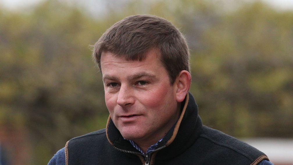 Tim Lane: has left the National Stud following study into management issues