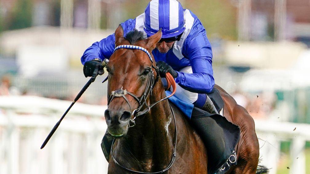 Hukum: favourite for the September Stakes