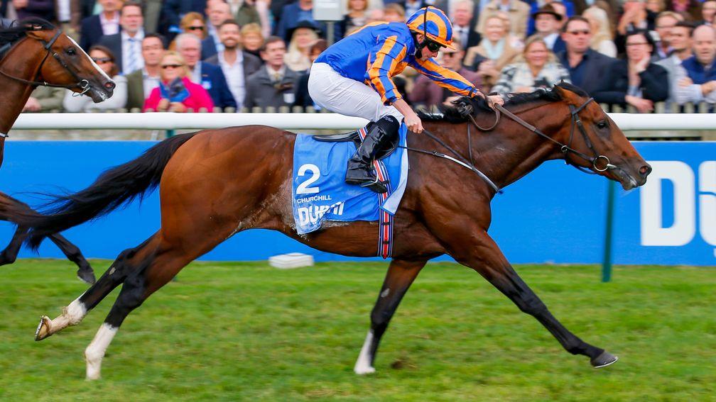 Churchill: Favourite for the 2,000 Guineas and Derby