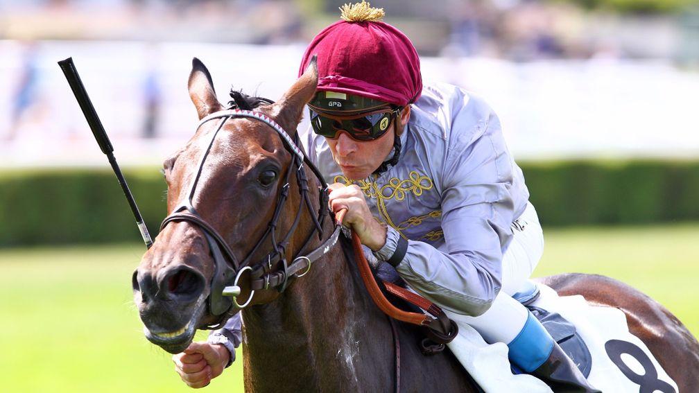 Thierry Jarnet and Treve streak to victory in the 2015 Grand Prix de Saint-Cloud