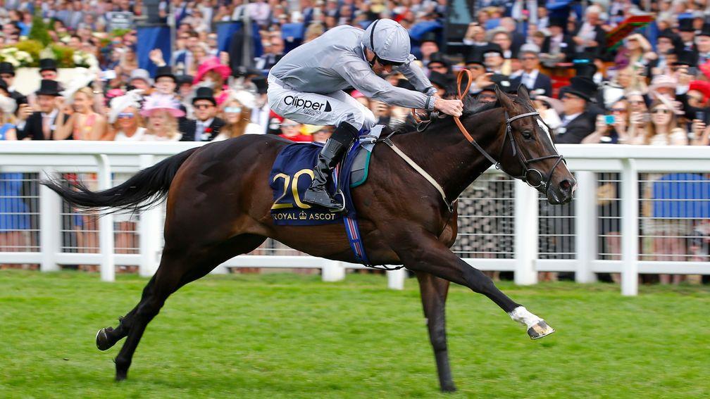 Soldier's Call wins the Windsor Castle Stakes