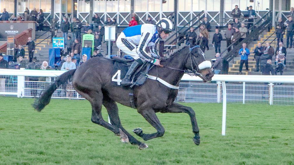 Yes No Maybe So wins at Musselburgh for Donald McCain and Brian Hughes