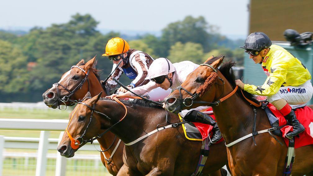 Jazeel (middle) beat Beringer (right) at Sandown earlier this month