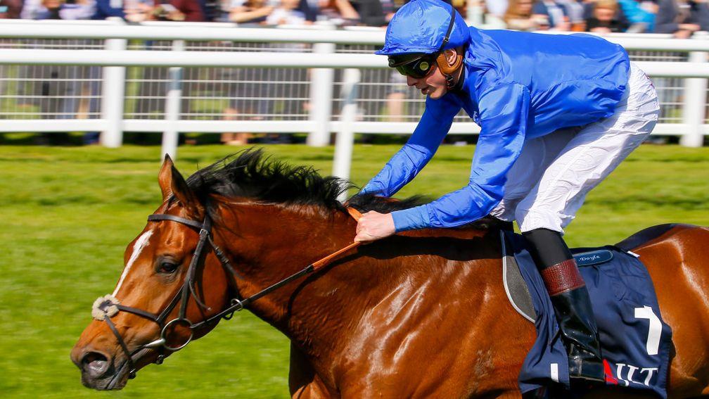 Barney Roy: first-crop son of Excelebration was bred by emerging global force Sun Stud