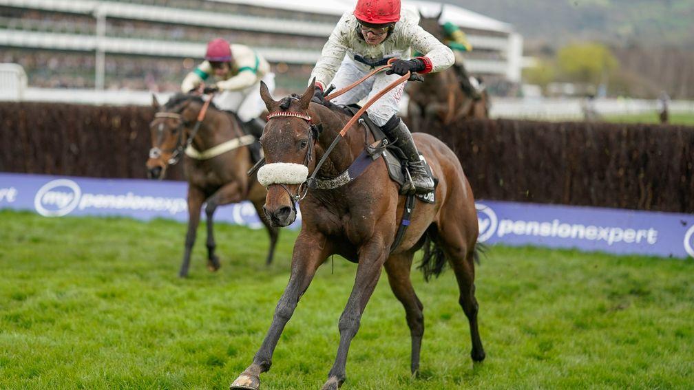 Chianti Classico: the only British-trained winner on day one of the Cheltenham Festival