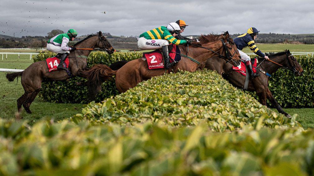Banks racing: one of the big attractions of the Punchestown festival