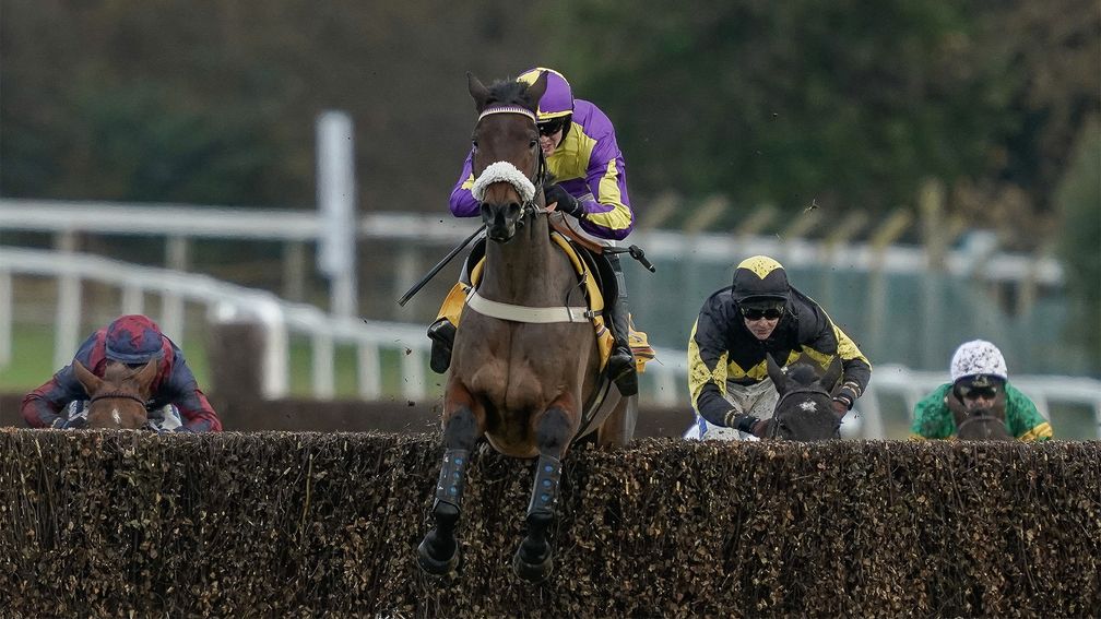 Le Patron jumps the last at Sandown