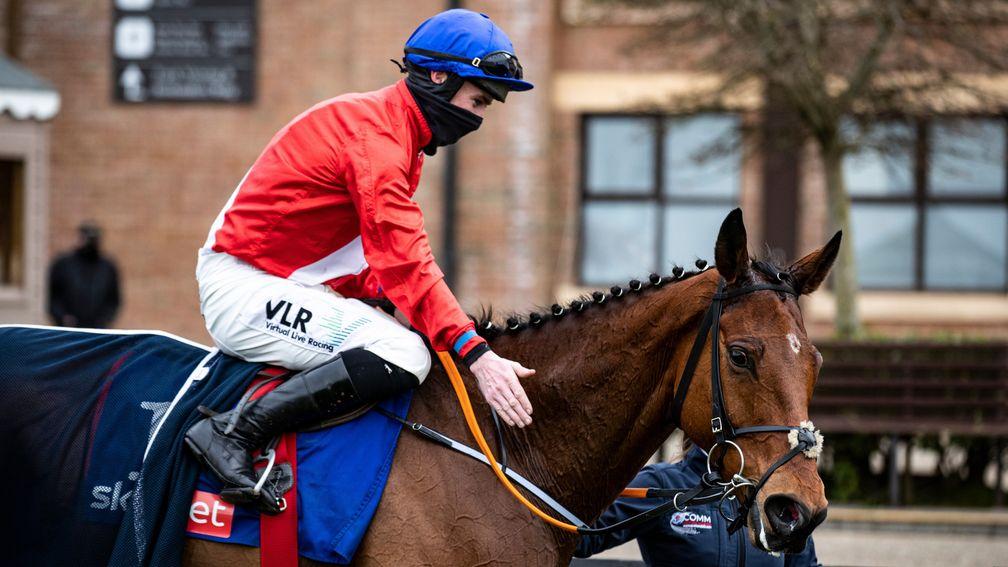 Envoi Allen: unbeaten star is a best priced evens for the Marsh Novices' Chase