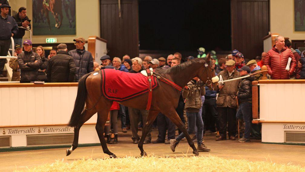 Summer Sands parades in front of the packed gangway at Tattersalls