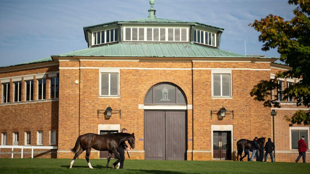 Tattersalls: the Goffs Orby Sale will relocate from Kildare to Park Paddocks in Newmarket