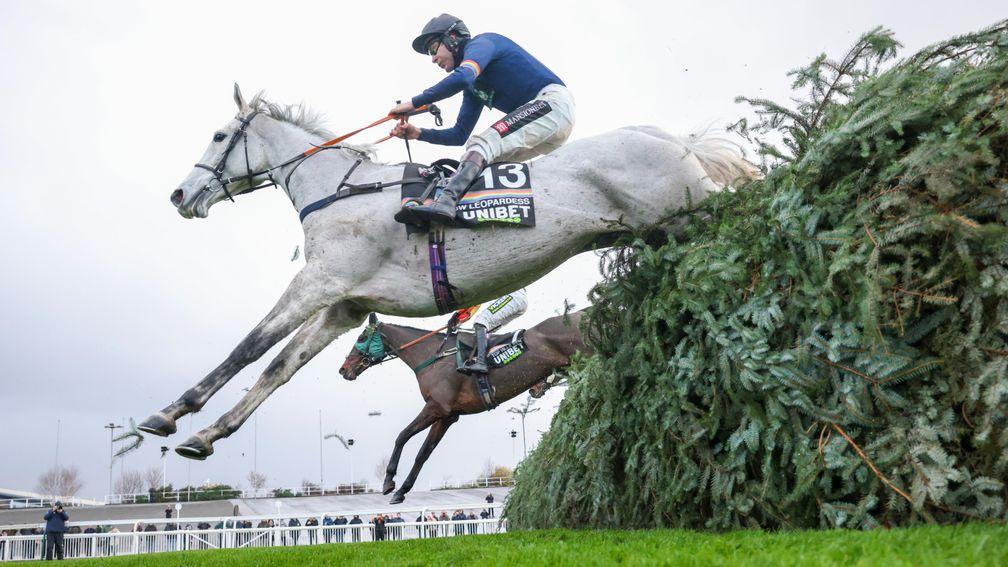 Snow Leopardess: one of Britain's leading hopes having won over the National fences