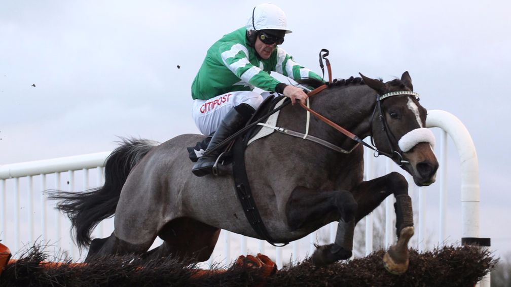 Mall Dini: won the Pertemps for Philip Reynolds and Pat Kelly last year