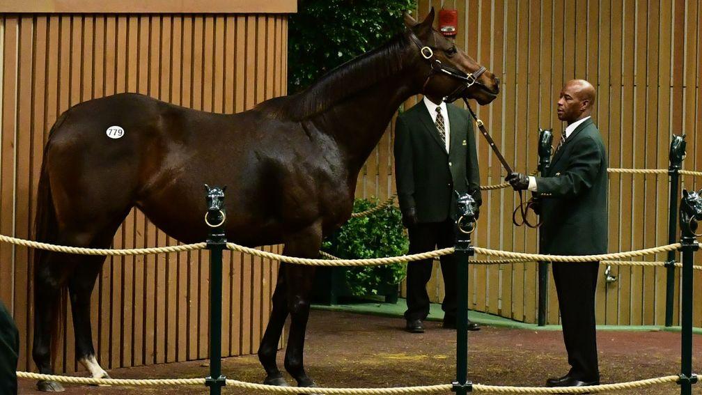 House Rules sells for $750,000 during Tuesday's second session of the Keeneland January Sale