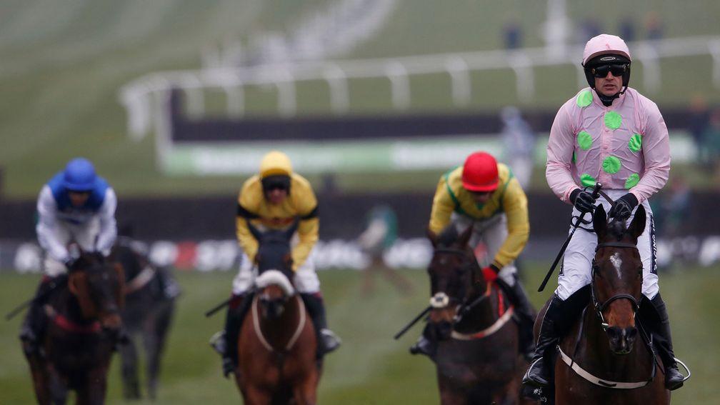 Douvan: likely to tackle the Ryanair Chase at Cheltenham