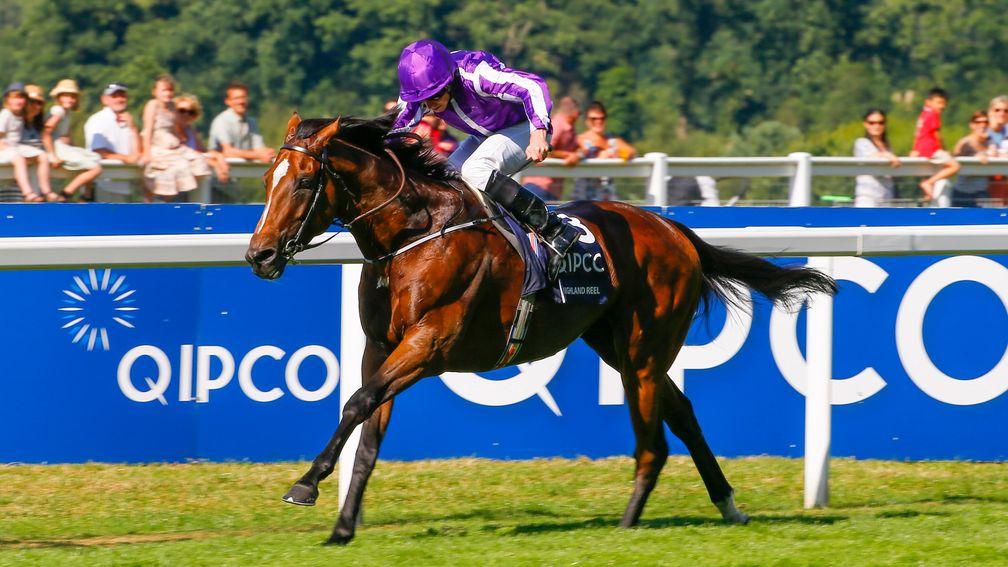 Highland Reel was the star of the show at Ascot last year on King George day