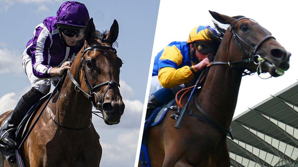 Snowfall (left) and Wonderful Tonight: lock horns in a Group 1 cracker at York on Thursday