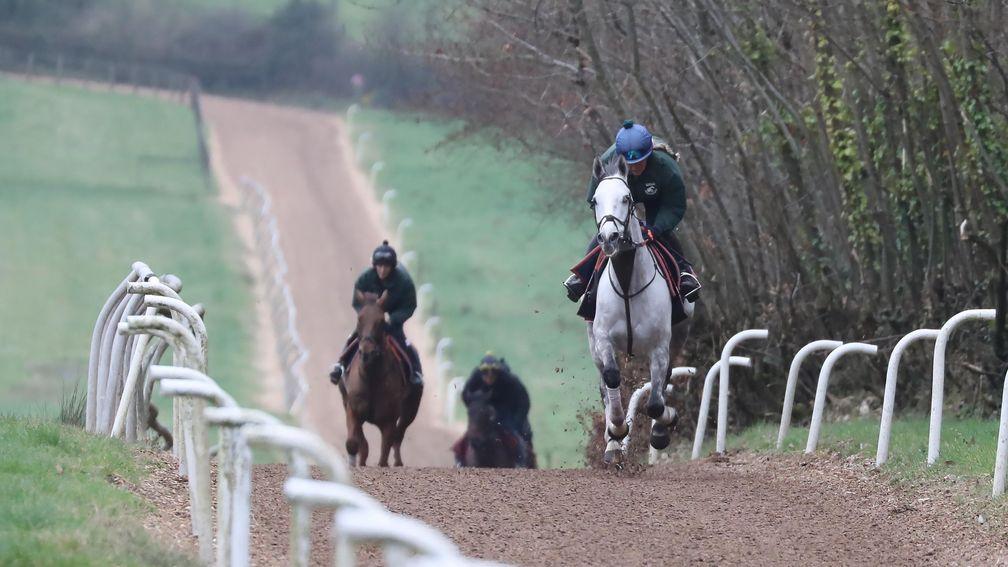 Ramses De Teillee comes up the gallops under Rosie Clark as he prepares for the Grand National