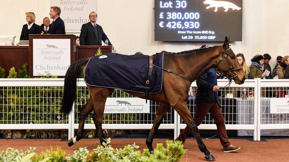 Lot 30: Know The Score in the Cheltenham ring before being knocked down to David Pipe for £380,000