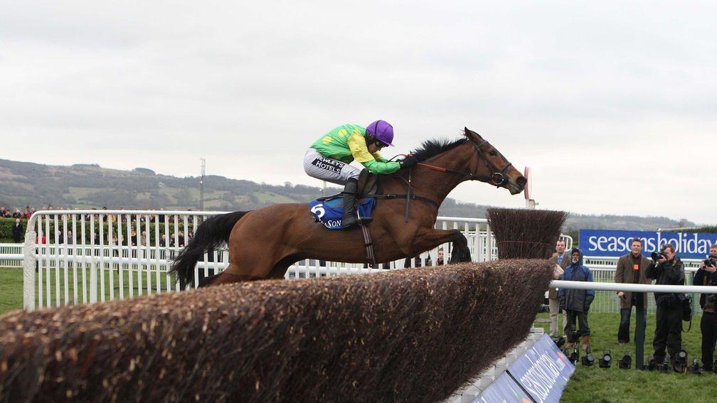 Master Minded: the only five-year-old to win the Champion Chase