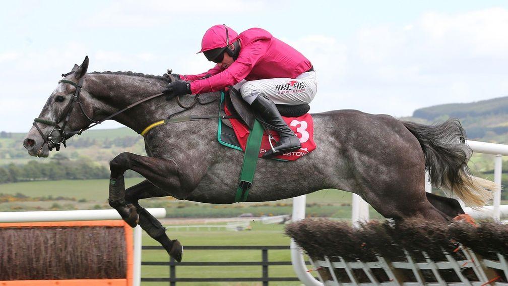 Champoleon, pictured on the way to victory in a maiden hurdle at Punchestown in 2015, lost the race after testing positive for caffeine