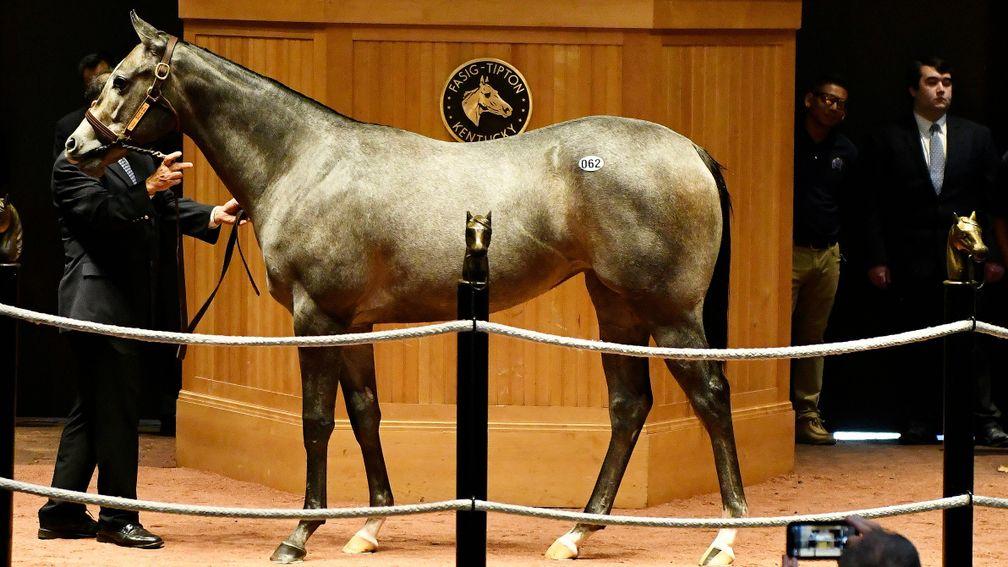 The session-topping Medaglia D'Oro filly sold for $400,000