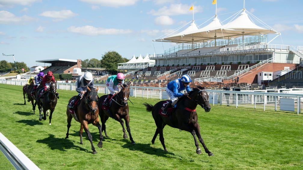 Mohaather: won the Qatar Sussex Stakes at Glorious Goodwood