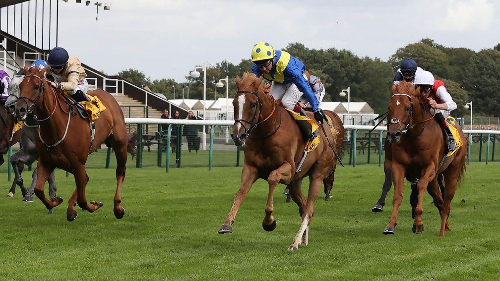 Dream Of Dreams wins the Sprint Cup at Haydock on Saturday under Oisin Murphy