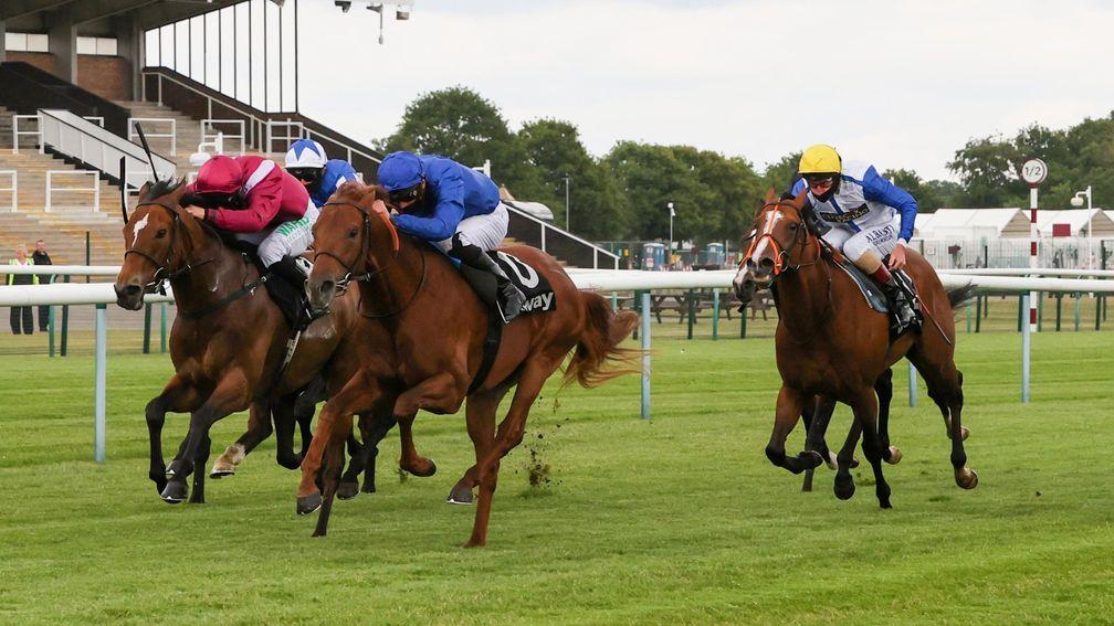 Space Blues (blue silks) wins at Haydock this month