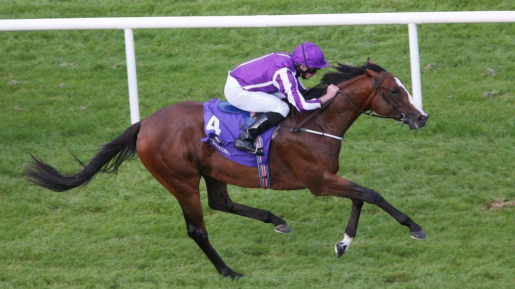 The Perntagon: has stayer/middle distance horse stamped all over him, says Andrew Scott