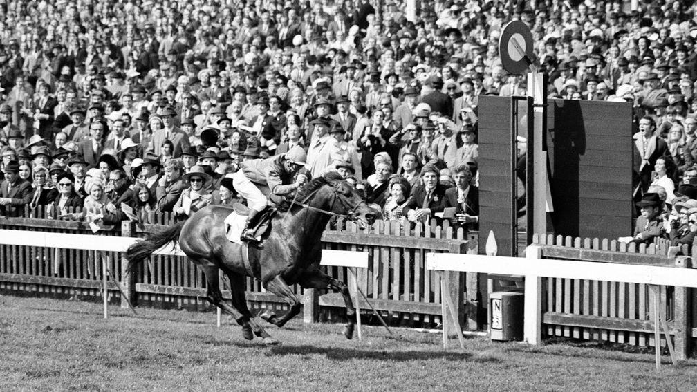 And so it began: Brigadier Gerard wins the 2,000 Guineas, roared home by a nine-year-old Peter Thomas