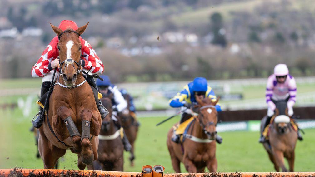 Pied Piper (Davy Russell) clears the final flight and wins the Juvenile HurdleCheltenham 29.1.22 Pic: Edward Whitaker