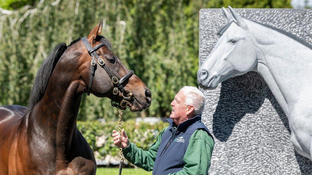 Invincible Spirit, with handler Michael 'Daffer' Kelly, checks out his statue