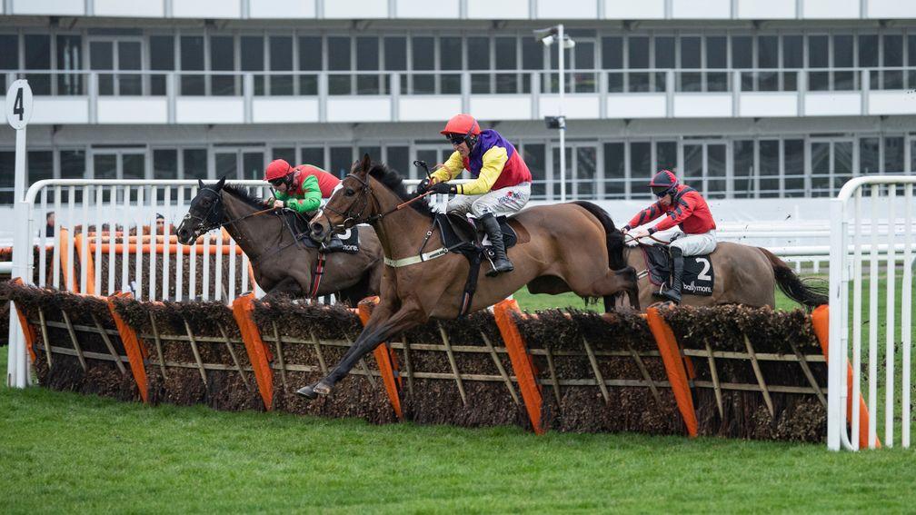 King Roland (far side) is headed by Harry Senior over the final flight at Cheltenham