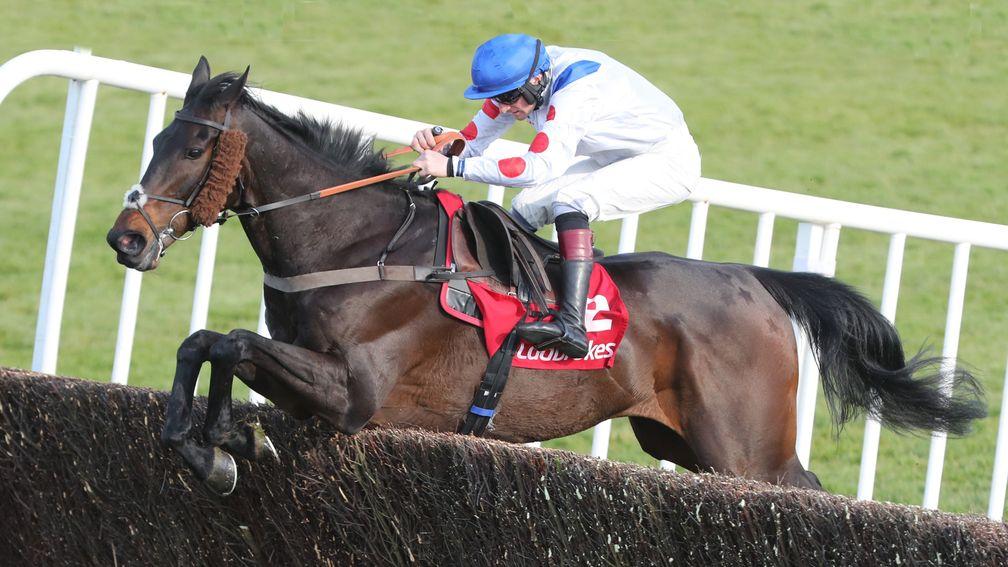 Punchestown Wed 28 April 2021Clan des Obeaux ridden by Sam Twiston-Davies jumping the last fence to win The Ladbrokes Punchestown Gold CupPhoto.carolinenorris.ie