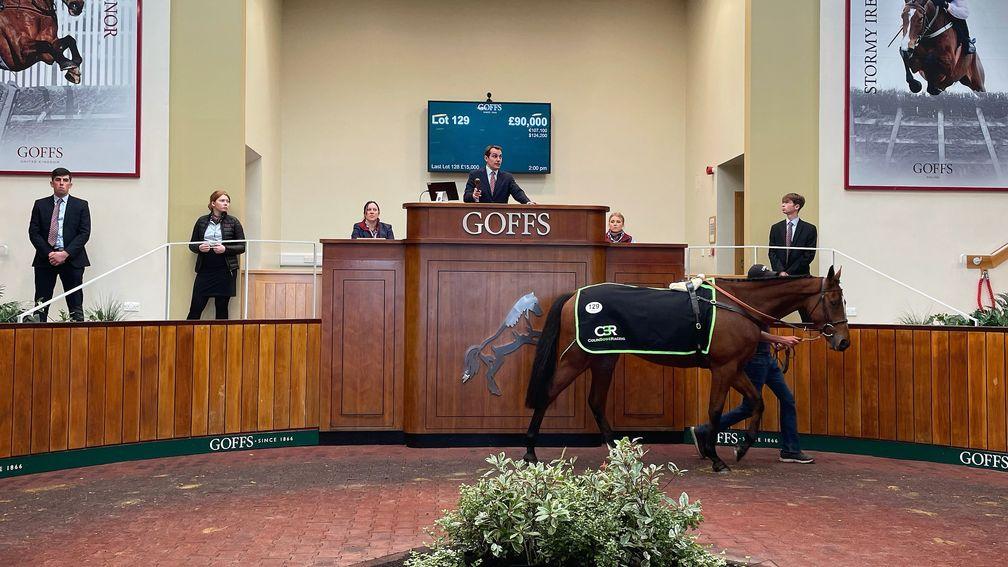 Music Drive sells for £90,000 in the Doncaster sales ring