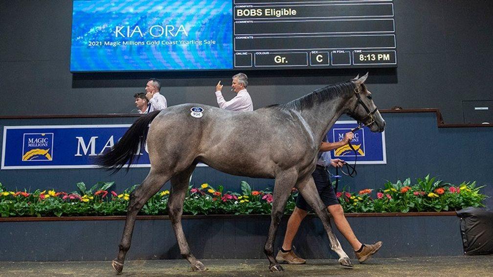 The I Am Invincible session-topping colt at Magic Millions