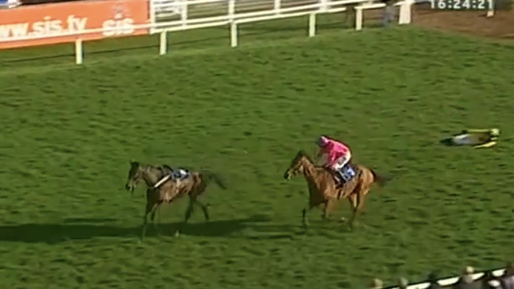 O'Brien looks on as Bajardo heads up to the line with the loose horse heading for the exit