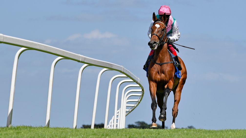 Enable: faces two rivals in the King George at Ascot