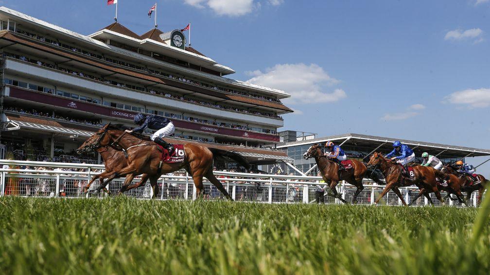 Rhododendron (near side) just gets the better of a thrilling finish to the Lockinge Stakes