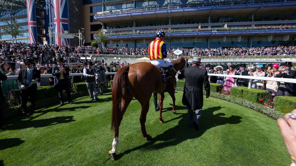 Nature Strip (James McDonald) after the King's Stand stakesRoyal Ascot 14.6.22 Pic: Edward Whitaker