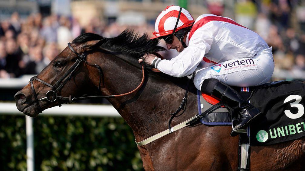 Invincible Army: favourite to land the Diamond Jubilee at Royal Ascot