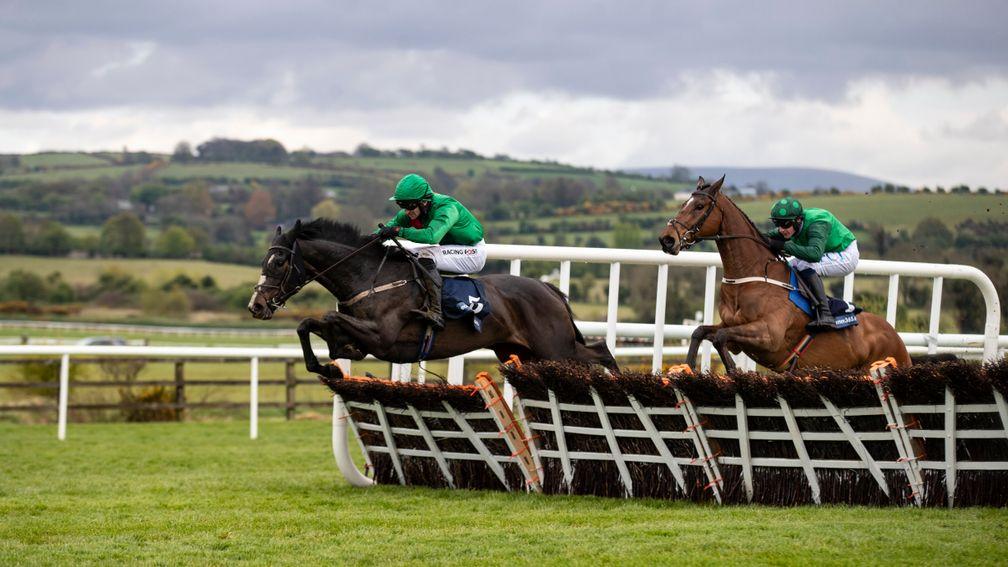 Echoes In Rain: could return in the Morgiana Hurdle